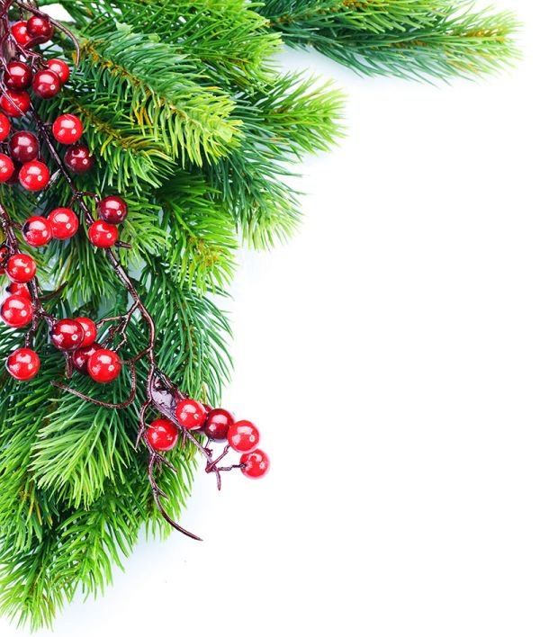 Natal Tahun Ini